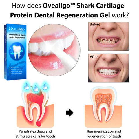 Oveallgo™ Shark Cartilage Protein Dental Regeneration Gel